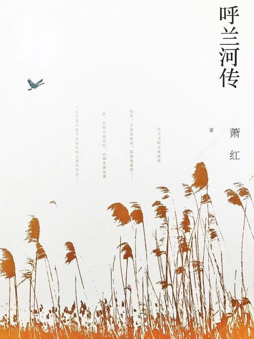 野草與星光 蕭紅誕辰110周年，文學(xué)書寫與生命成長的雙重軌跡